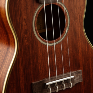 Đàn Guitar Acoustic Taylor Baby BT1E ( size 3/4 )